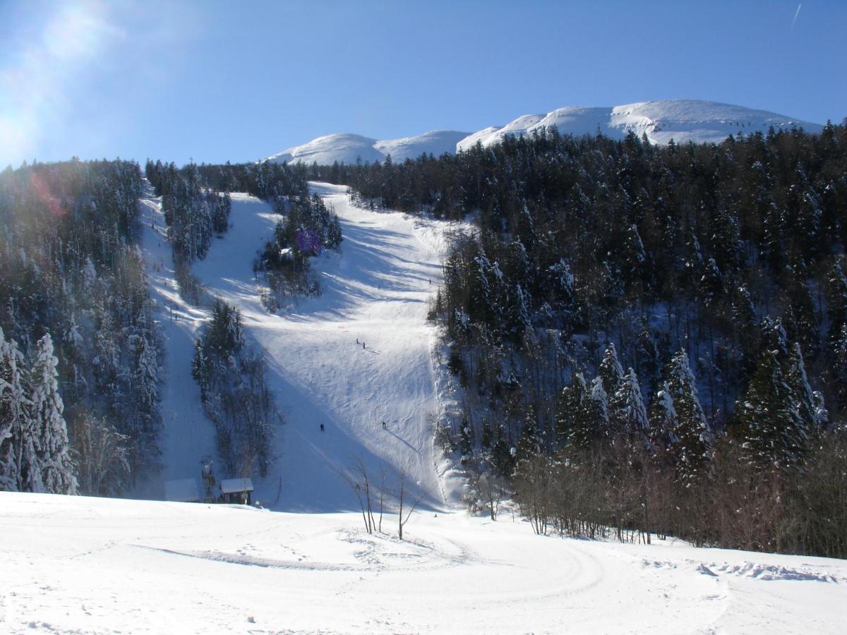 סן-ז'אן-אן-רוייה Hotel Du Col De La Machine מראה חיצוני תמונה